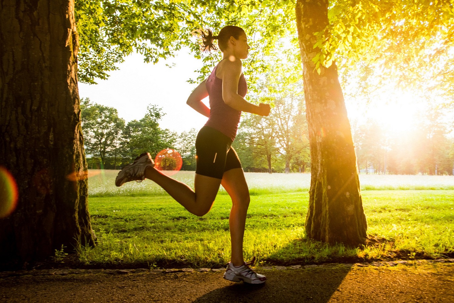 Mehka grafika z valovitimi linijami, ki simbolizirajo mirno gibanje